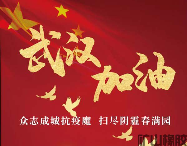 齊心協力，共抗疫情——遠程指導安裝橡膠襯板(圖1)